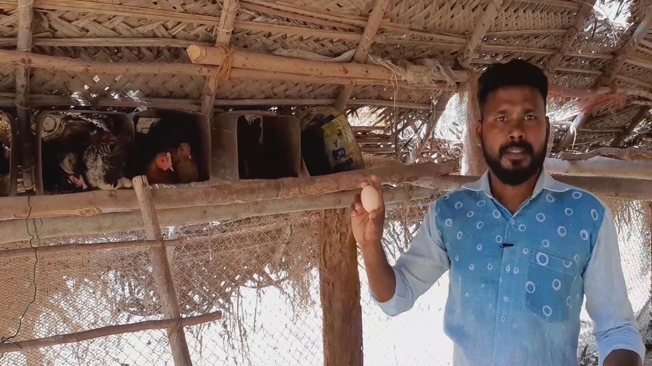 தூய சிறுவிடை பண்ணை #செலவில்லாதபண்ணை