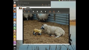 Resize image with Ubuntu 12.04 (1)
