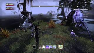 Eso - Horsewolflol
