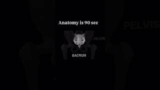 Smooth way to learn Anatomy 😁 anatomy for veterinary student #ahdp