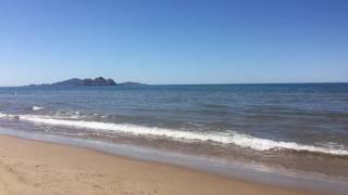 El Pargo Rojo - Playa