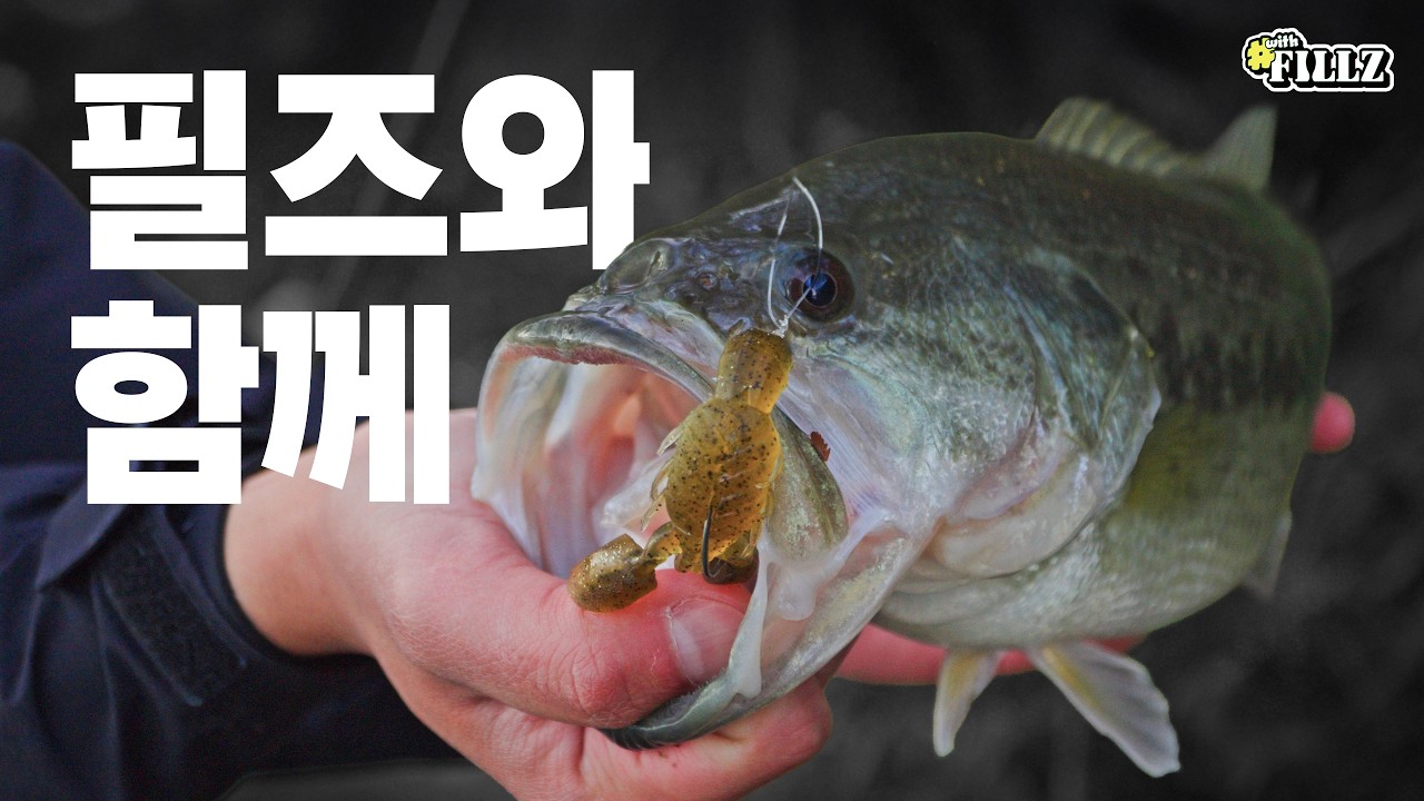 [#withFILLZ]  즐거운 순간을 필즈와 함께