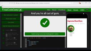 Create a Bulleted Unordered List- freeCodeCamp HTML5 and CSS lesson #24 Net Worth