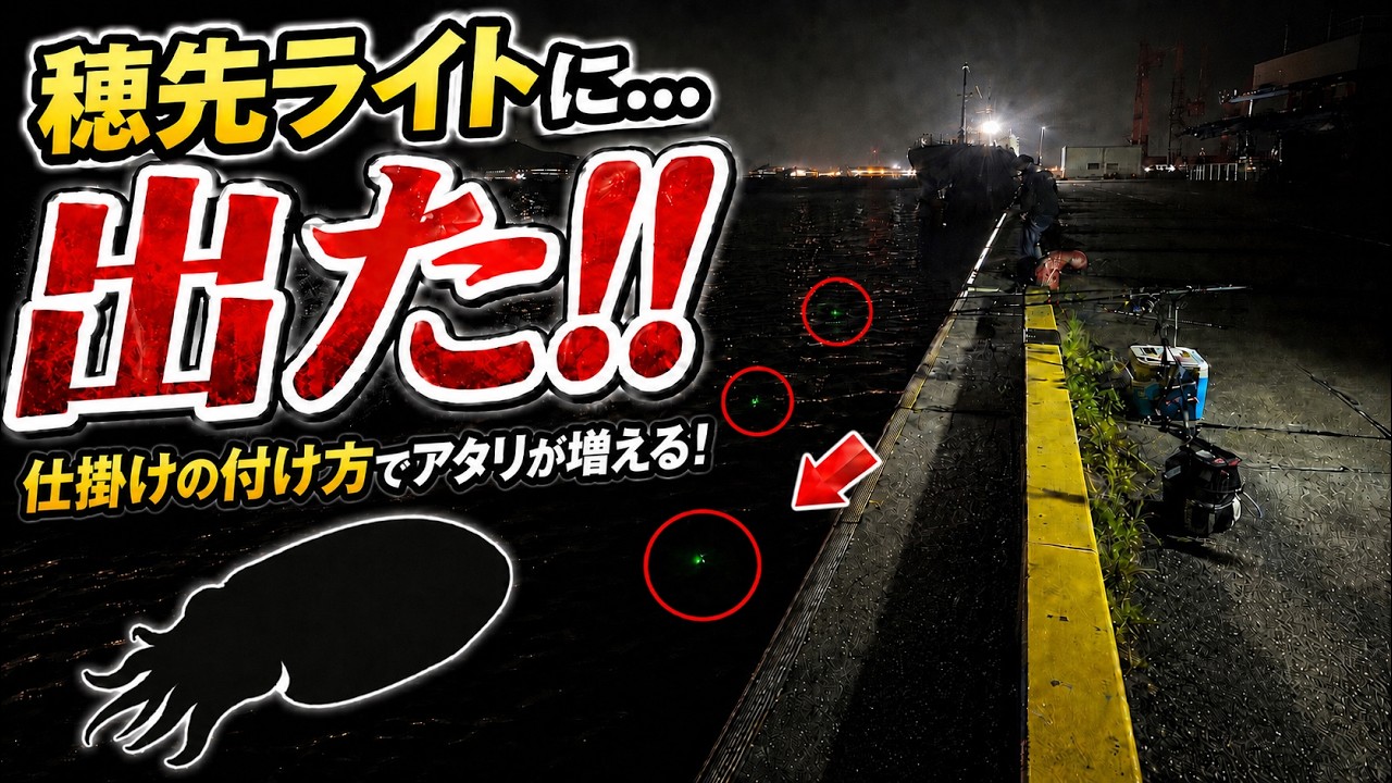 置き竿にして待つだけ…穂先ライトが知らせるイカのアタリが最高すぎる!!