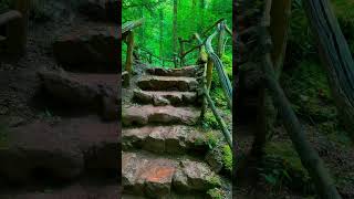 Star Wars UK Filming Location: Puzzlewood in the Forest of Dean