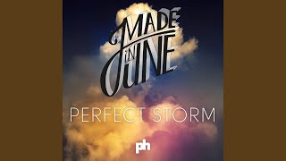 Perfect Storm (Radio Edit)