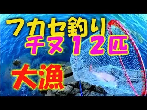 香川 県 の 釣り 情報