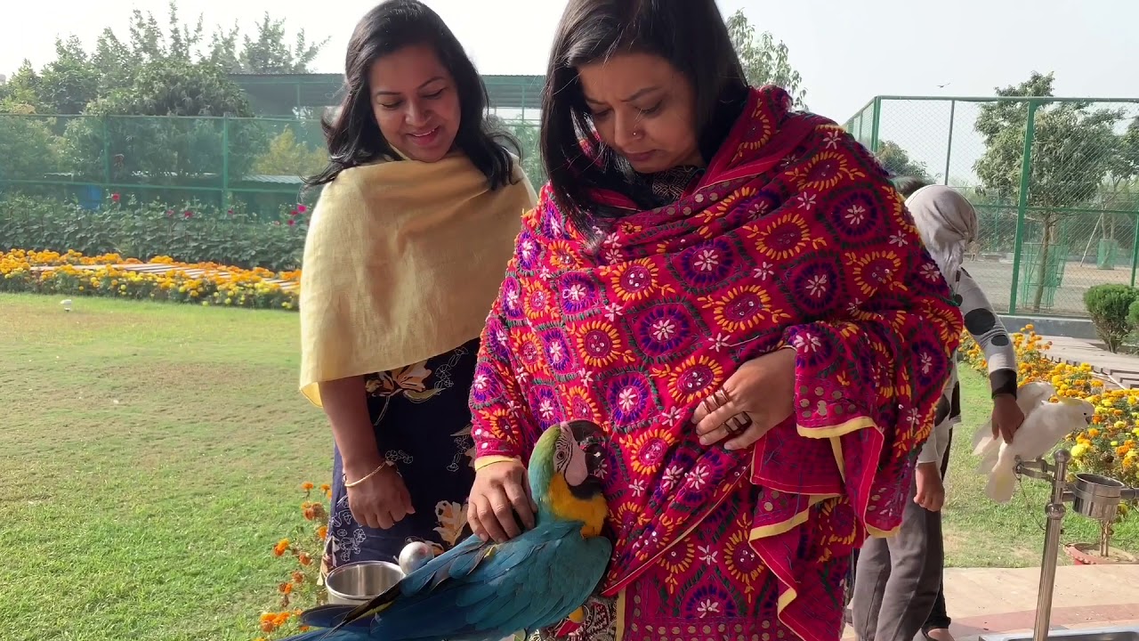 Guest House Poly Cable Pty Ltd