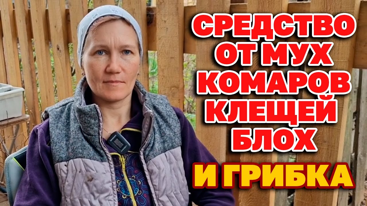 ВЫЛЕЧИТ ГРИБОК НА НОГАХ СРЕДСТВО ОТ КЛЕЩЕЙ И КОМАРОВ ИЗБАВИТ ЖИВОТНЫХ ...