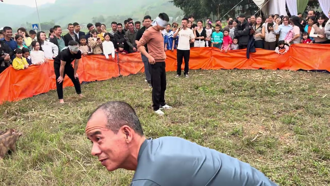 Cười đau bụng với trò chơi bắt lợn