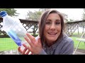 Beginning of video