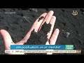 صباح الخير يا مصر الرمال السوداء في مصر الاحتياطي الأكبر في العالم