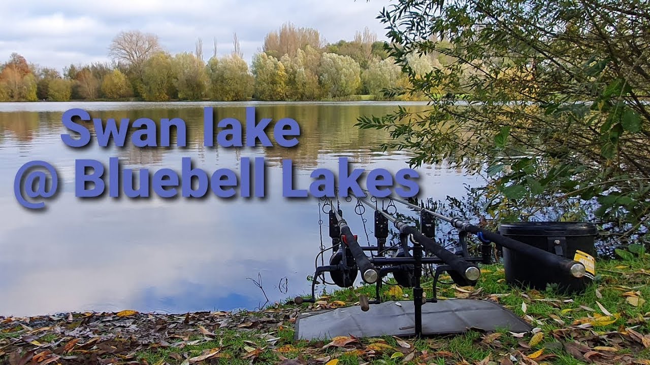 200 Winter Carp Fishing Bluebell Lakes (Swan Lake) YouTube