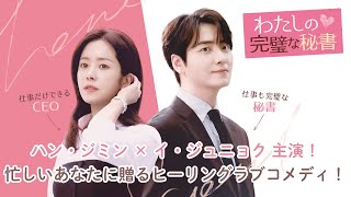 ※ LP盤 ※　私の完璧な秘書　わたしの完璧な秘書　OST　レコード Amazon.co.jp: 私の完璧な秘書 OST/나의 완벽한 비서 OST/韓国