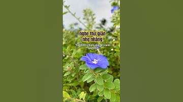 Nghe thư giãn nhẹ nhàng -3 loại nợ #trietlysong #tamtrangcuocsong #shorts #fypシ #yeucuocsong