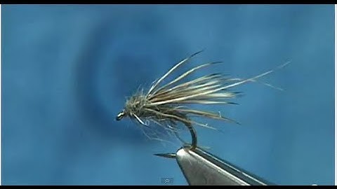 Tying the Dead Caddis (DryFly) by Davie McPhail.