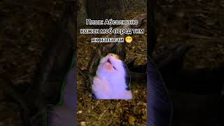 Це база Gothic #toysamiysanya #gothic2 #gothic2goldengate #gothicmod #готика #готика2 #gothicremake