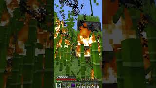 fire burned my 100,000 bamboo