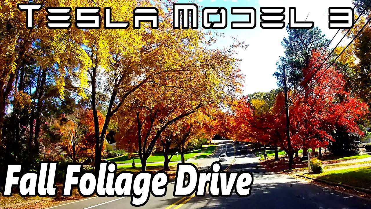 Tesla Model 3 - Fall Foliage Drive in Raleigh NC