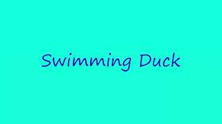 Top 5 Duck