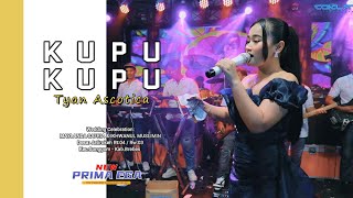 KUPU-KUPU - TYAN ASCOTICA 'NEW PRIMAEGA' || LIVE.DS.JATIROKEH RT:04/03, KEC.SONGGOM-KAB.BREBES