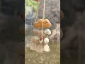 Smiling Cloud ASMR ☁️ Crisp Chacha Seed Rattle | Nature's White Noise Bag Charm SYL95763#shorts