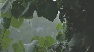 Bollywood Songs Playing in Another Room and it's Raining V5 screenshot 5