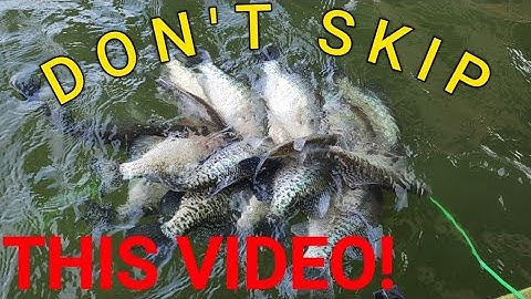 Where do Post spawn CRAPPIE go when they leave the banks 2023!