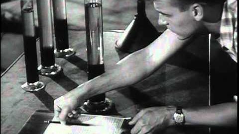 Look Toward Tomorrow - The Big Picture