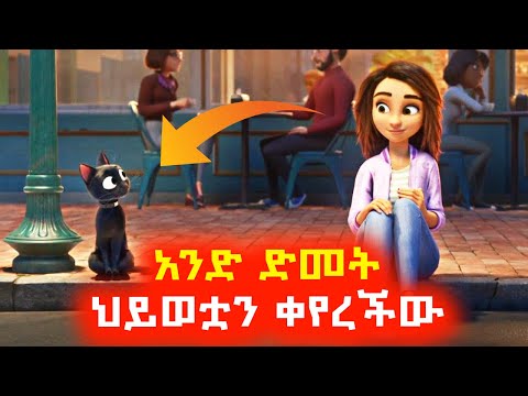 ቪዲዮ: አንድ ድመት ስታርፍ?