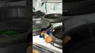 КОГДА ВЫГНАЛ МАШИНУ ИЗ ГАРАЖА 💀 #caraudio #автозвук #subwoofer #bass #top #рек #сабвуфер #speaker