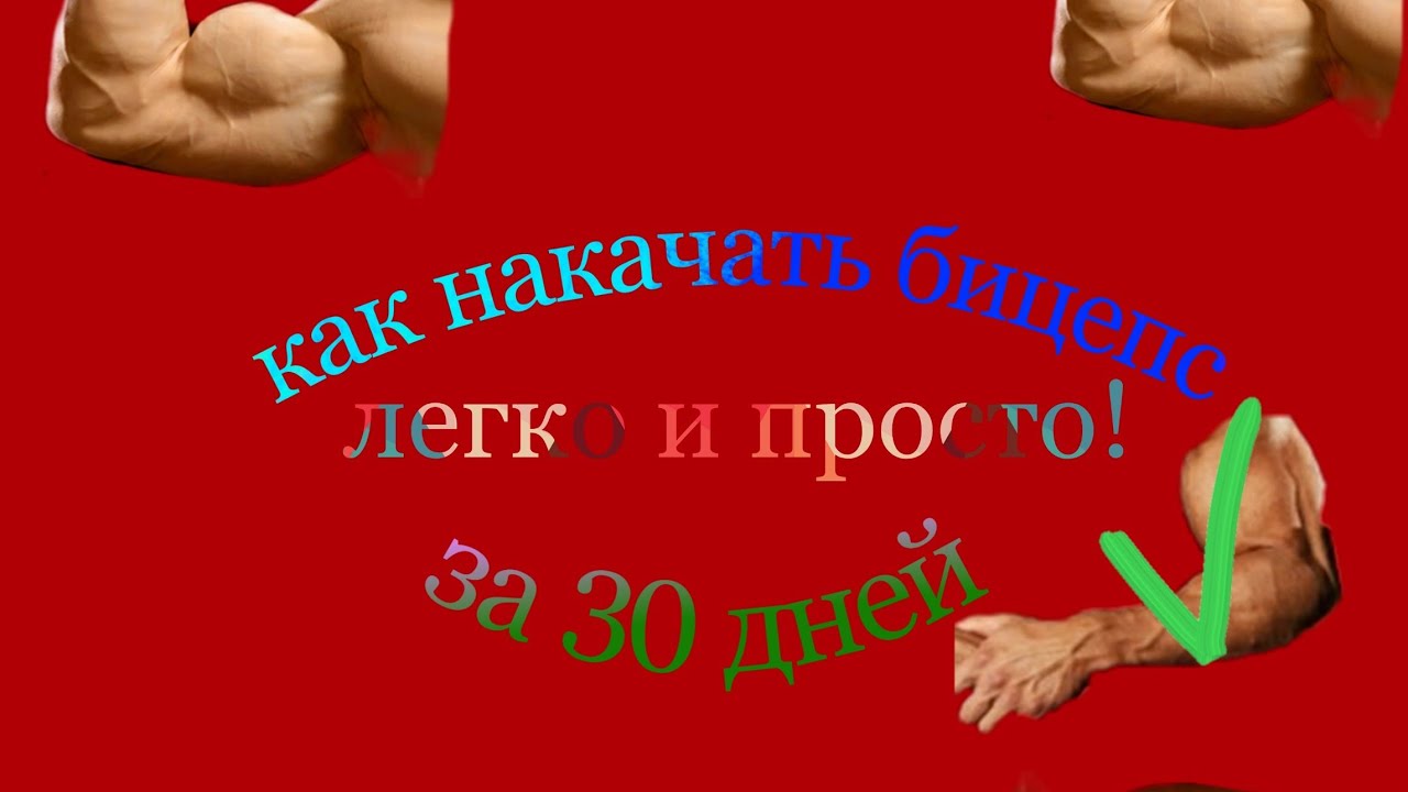 ���������� Lyka Labs ������: ����.