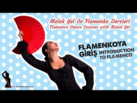 Video: Flamenko Dansı Nasıl öğrenilir