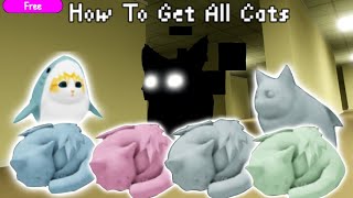 How To Get All Cats In The "Kitten Game"  (Full Tutorial)  screenshot 2