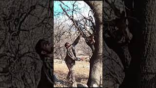 #bushcraft#solobushcraft#survival#extremesurvival#winterbushcraft#coldsurvival#stoneshelter