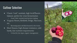 Cider Apple Production