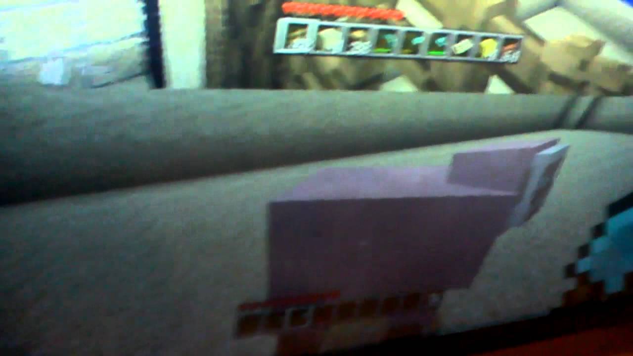 Pink Sheep!!! MyLilWolfieQT Minecraft