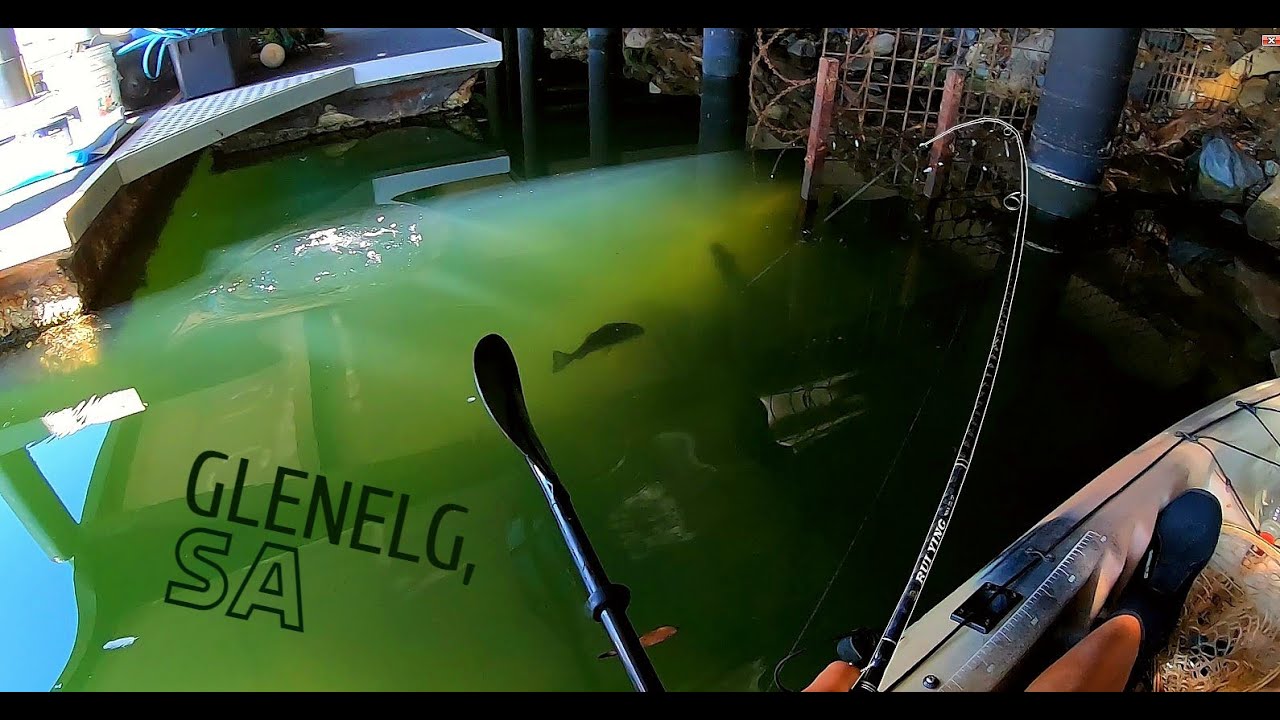 Urban Kayak Bream Fishing on Soft Plastics! (UNREAL TAKE!)