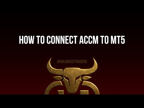 How to connect ACCM to MT5