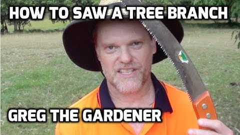 How To Saw a Tree Branch Off - Right and Wrong way Demonstration - Greg The Gardener