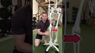This Exercise Fixes Knee Pain Fast!  #kneepain #kneepainremedy #kneepainexercises