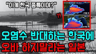 [일본반응] 일본의 오염수 방류를 반대하는 한국에 &quot;신경쓰지마&quot;라는 일본인들 반응 | &quot;반대하려면 과학적인 근거부터 밝혀라&quot; | 한국인들 주장에 거짓 선동이라 주장하는 일본인들