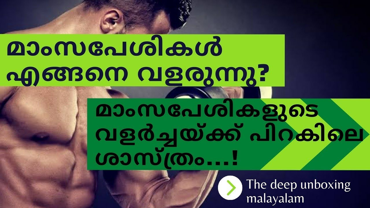 How Do Muscles Grow: The Science Of Muscle Growth Explained – GEOX