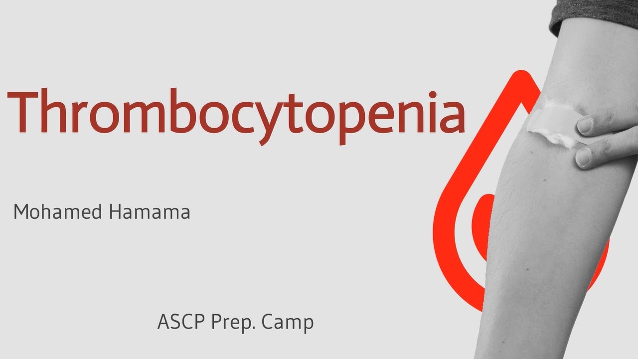 ASCP | MLS | MLT | Hematology | Thrombocytopenia