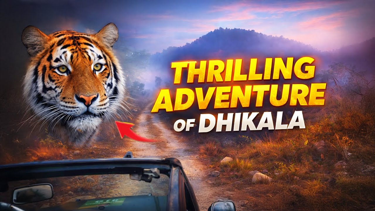 A Thrilling Adventure of DHIKALA – Morning Safari in Jim Corbett | Episode 54