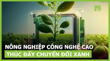 Nông nghiệp công nghệ cao thúc đẩy chuyển đổi xanh | VTC16