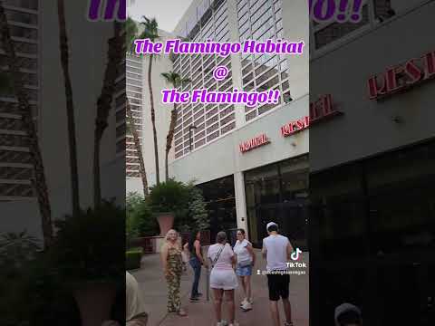 I won and saved 1,000,000 RP and unlocked the PENTHOUSE !!! ** Four Kings Casino **