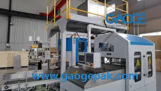 20kg Feed Packaging Machine Open Mouth Bagging Machine Animal Feed Packaging Machine