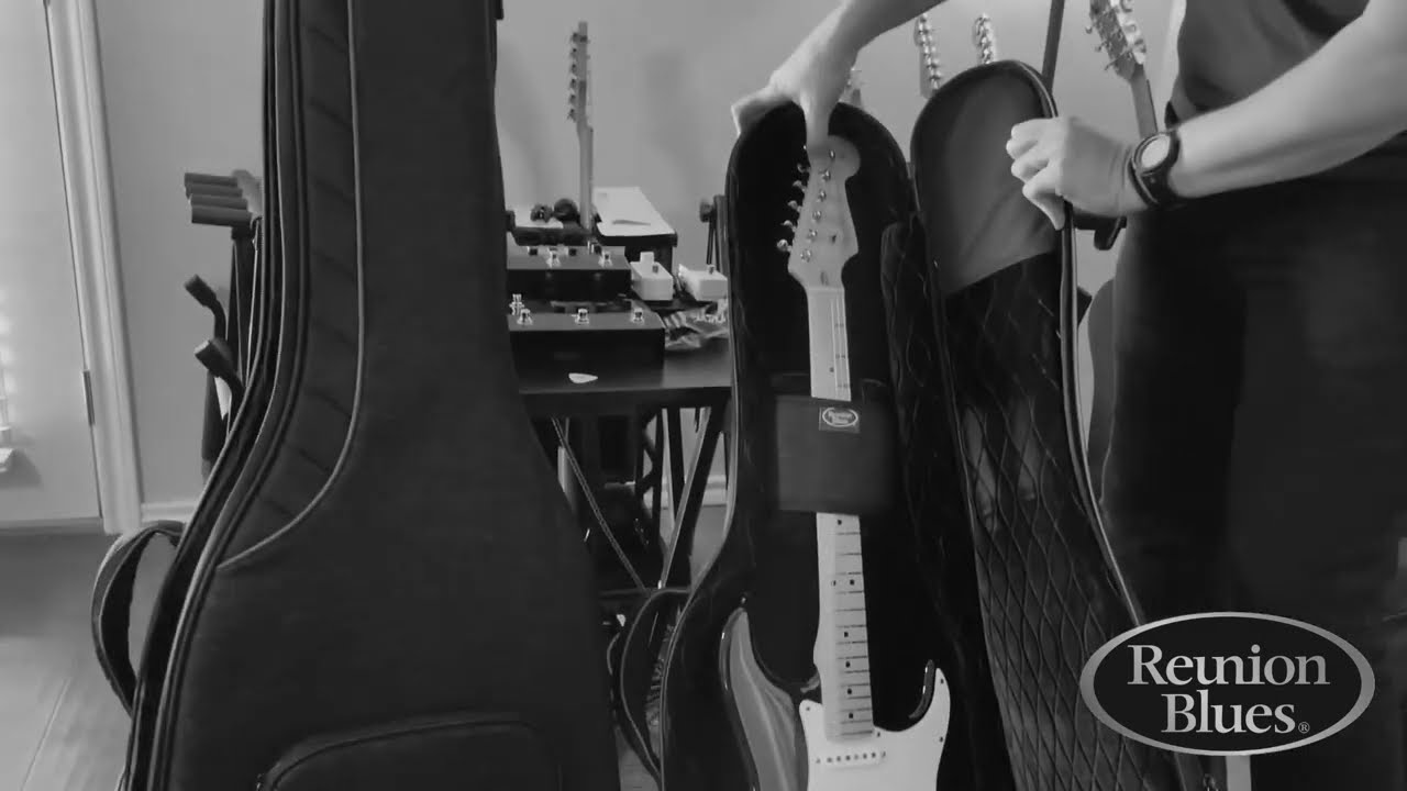 Reunion Blues Artist Bart Van Bemmel 