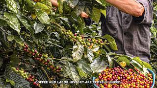 Coffee and labor movements
